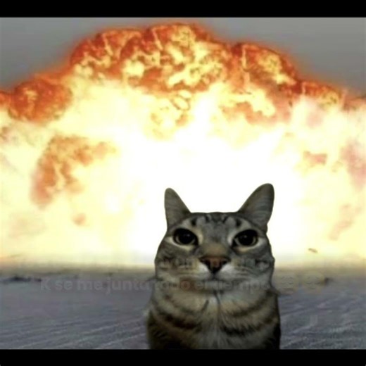 yia no puedo papiar en roblooz👺