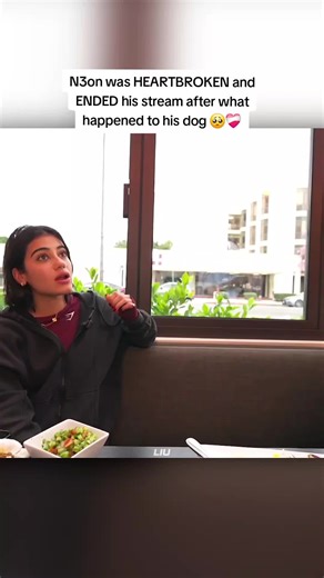 N3on was HEARTBROKEN and ENDED his stream after what happened to his dog 🥺❤️‍🩹 #n3on #sarasaffari