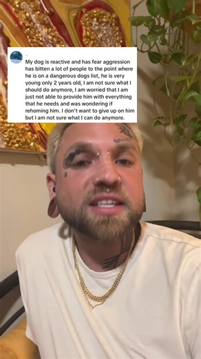 Rehoming a dangerous dog doesn’t resolve the problem- it just makes it someone else’s problem. The best place for a dangerous dog is with the dogs owner, rather than with a new family that doesn’t know what this dog is capable of, will likely not take the dogs behavior problem seriously, and more people will get hurt. The responsible thing to do is to help your dog through their problems and set the up to succeed by not allowing them to hurt more people/ putting them in situations they aren’t re