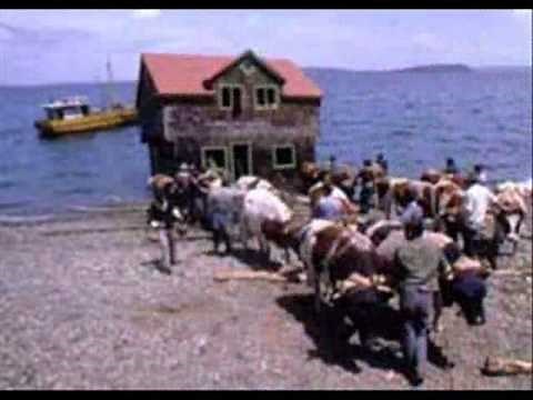 LA MINGA ..CHILOE..CHILE.wmv