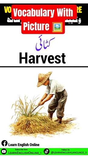 Vocabulary With Picture 🖼️| #foryou #english #englishtourduspeakingcourse