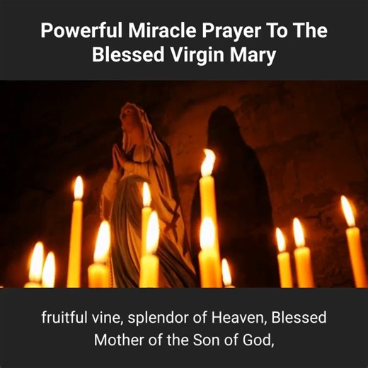 12K views · 600 reactions | Miracle Prayer To The Blessed Virgin Mary | Proudly Catholic | Facebook