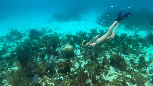 Carley ☻ on Instagram: "had to relearn premiere for this— but had fun! #livelaughlove 🏝️😝 also, yes i did drop the fish and yes i did get stung by the jellyfish 🤩 - - - - - #fashionista #igmodel #model #fashionposts #outfit #fitpic #fashionable #model #igmodel #modelmanagement #follow #followme #likeforlikes #likes #ad #sponsor #swim #bikini #girls #hotgirls #like #follow #explore #zodiac #beach #vacation #island #islandgirl #caymanislands #snorkel #snorkeling"