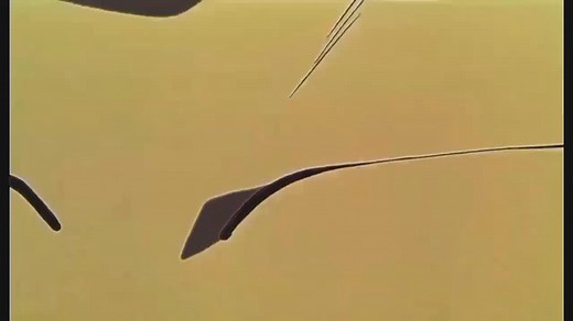 Jessi_anahi on TikTok