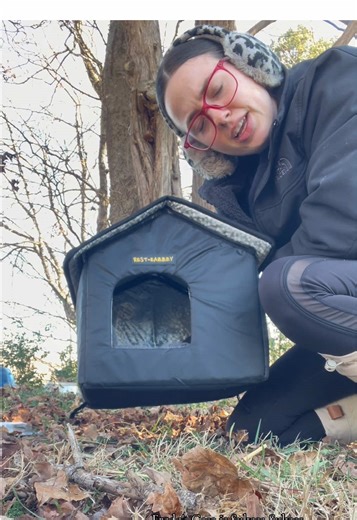 Feedback on Chicken Coop and Possum Care