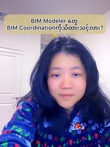 BIM Modeler တွေ အတွက် BIM coordination လိုအပ်သလား? (Experience မရှိသေးသူများအတွက်) #revit #Thin | Tr. Thin