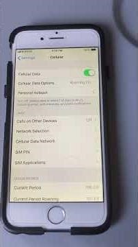 Phone Setting for Roaming in Canada