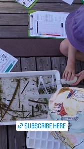 Adelaide Botanic Garden on Reels