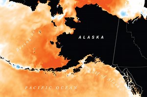 In Alaska, a summer of extreme weather continues