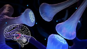 How and why your memories shift over time, explained by neuroscience