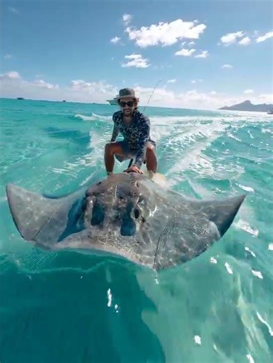 A Surfing Champion #ai #funny #wildlife #cute #surf #surfing