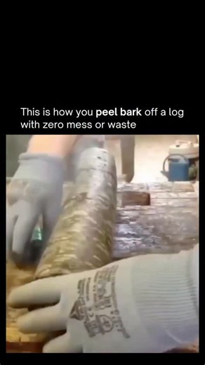 Business | News | Tech | Facts | When logs are heated, the bark loosens and softens, making it possible to peel it away almost like skin. With a sharp knife and steady... | Instagram