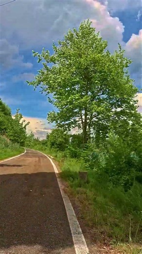 Relaxing Cycling the Famous "Cycleway of the Sun" | Italy 🇮🇹 #virtualride #indoorcycling