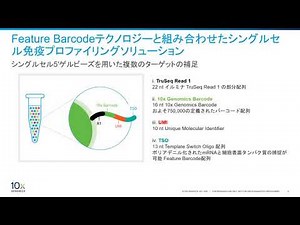 シングルセル免疫プロファイリングデータ解析