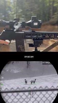 This setup is ridiculous