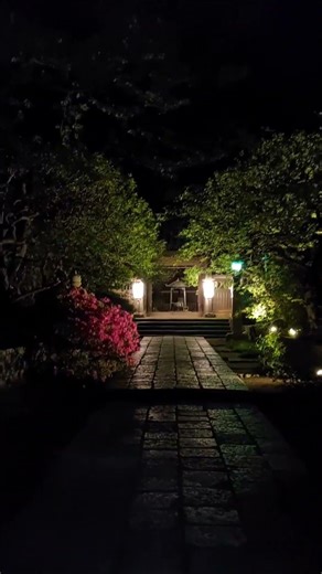 ツツジ 紀伊国屋旅館 常立寺 片瀬 江の島 すばな通り 鎌倉 KINOKUNIYA RYOKAN JORYUJI KATASE ENOSHIMA KAMAKURA KANAGAWA JAPAN