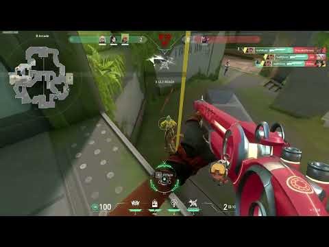 Why I'm the best bucky Raze in my postcode