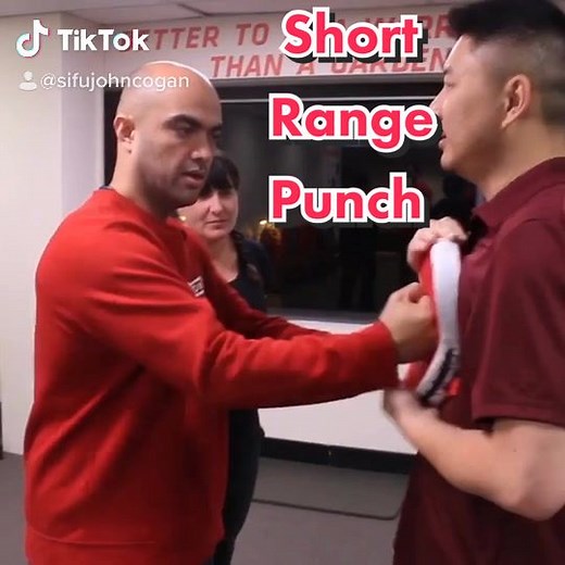 Short range punching #punch #punching #wingchun #kungfu #internalmartialarts