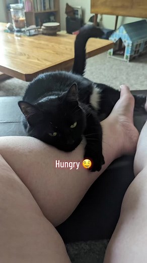 Hucow_TJanice (@janthucow)’s videos with original sound - Hucow_TJanice