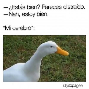 Ok this is literally me — Endless. | Ϟ.