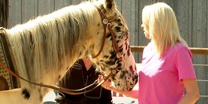 Horse therapy program for vets with PTSD opens in Ball