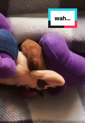 #waluigi #waluigiplush #fyp #waluigiforsmash #waluigipinball | waluigi