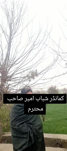 کمانڈر شباب امیر صاحب محترم صاحب اللہ تعالیٰ دہ ی حفاظت وکو 🤲🤲 ریپوسٹ ی کی ملگرو ♥️🥰@کمانډر ابو حاطر کاروان