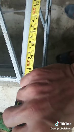 Farrowing Pen Design and Measurement for Happy Farming