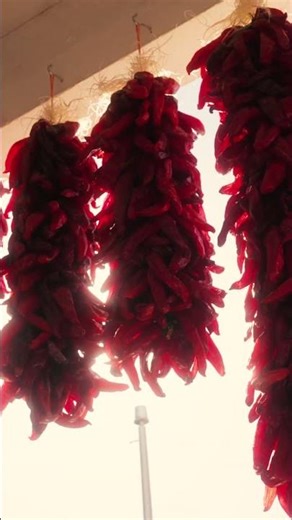 Old Town Albuquerque on Route 66 🌶️