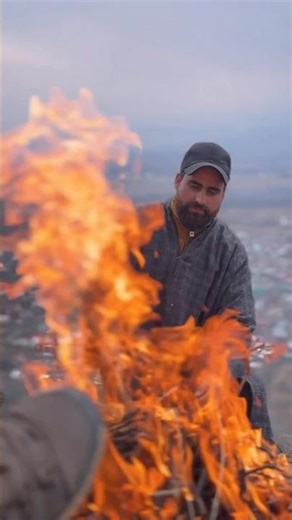 The Largest Forest in the World #shorts