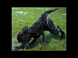 Scorpius Rex Sound Effects