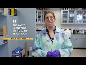 CBS research virtual lab tour: Snell-Rood Lab