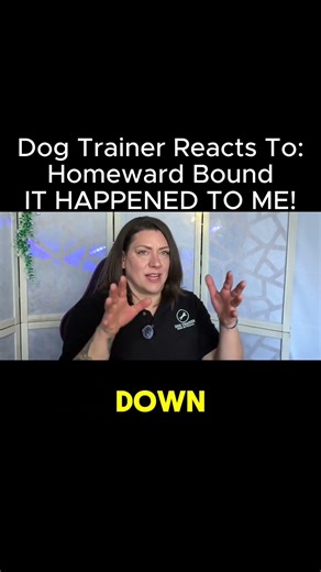 My Dog Ran Away On Vacation!