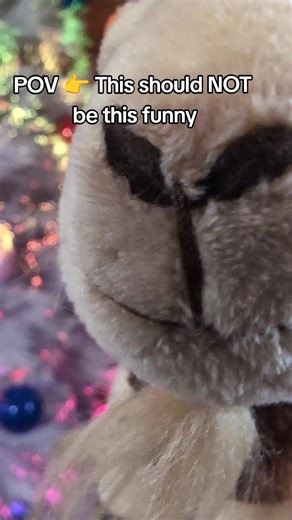 Funny Gifts That Will Make You Laugh