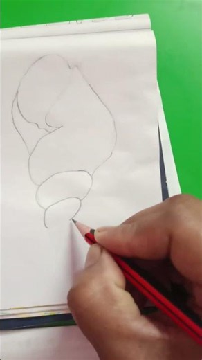 Realistic Seashell Drawing with Pencil 🐚
