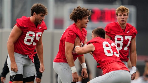 ‘Power hitter’ Nate Roberts eyes bigger role with Ohio State football