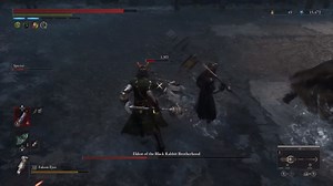 Red Fox and Black Cat Vs Black Rabbit Brotherhood