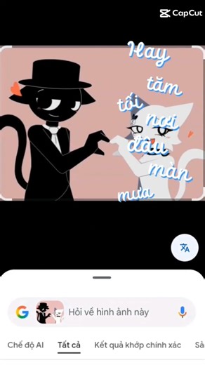 who's love black x wenda 🖤🤍