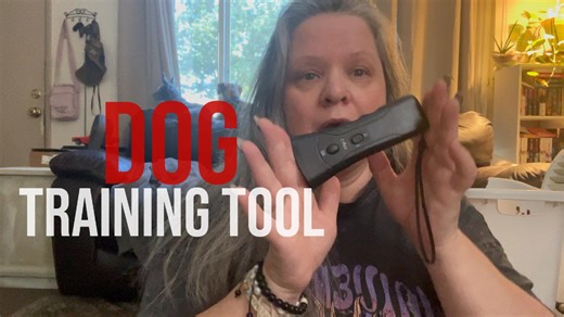 Watch Dog Training Tool on Amazon Live