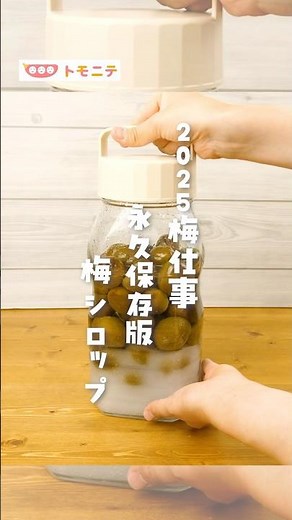[2025 Ume Work] A permanent syrup #plum #Ume Work #2025 #Ume Syrup #How to make