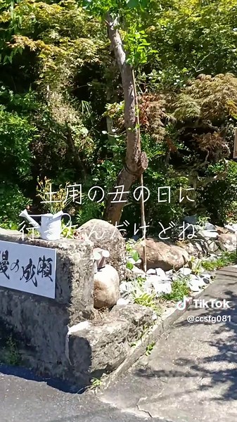 Unagi on Doyo no Ushi no Hi: A Day of Dining Adventures