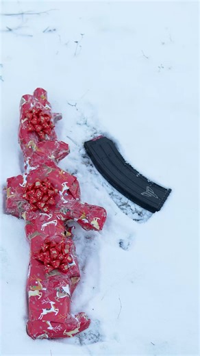 FİNAL ARMS | Final Arms FD-12 Bullpup Shotgun !! | Instagram