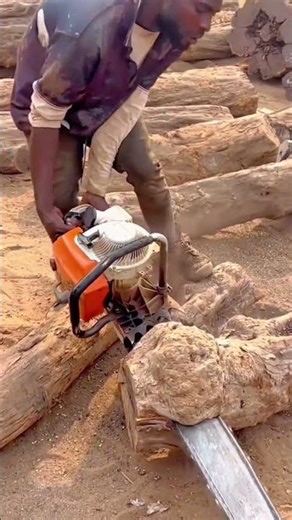 Heavy Duty Chainsaw Techniques for Efficient Large Log Timber Processing