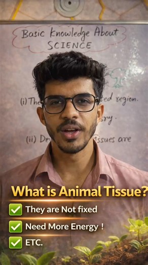What is Animal Tissue in one minute ! #basicscience #sciencepassion #scienceeducation #short