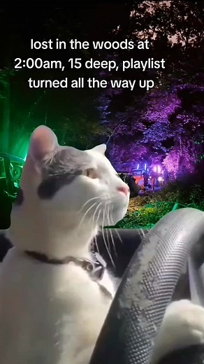 some of the best nights #momoney #moproblems #loufuszmotorsports #sxs #rzr #rideroyalblue #passengerprincess #polaris #proxp #pror #CapCutVelocity #CapCut