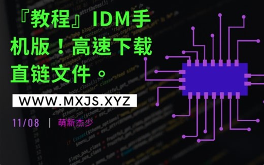 【教程】IDM手机版！高速下载直链文件