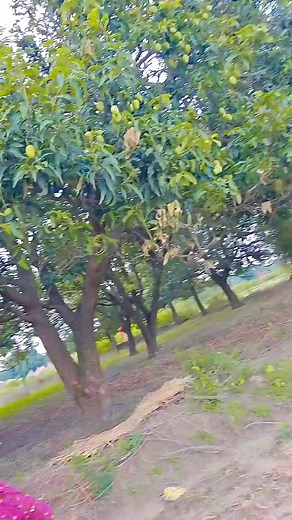 76K views · 7.2K reactions | Pyar bahot karte hai #facebook #reel #vidio #viral #hindi #song #viralreels | Mohini Rathor Vlogs | Facebook