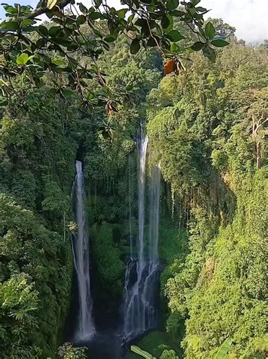 Hidden Paradise in Bali 🌿 Sekumpul Waterfall Will Leave You Speechless!