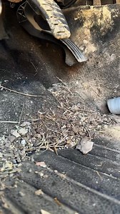 #accident #carpentry #luxurycars | Asmr Lavagem de carro