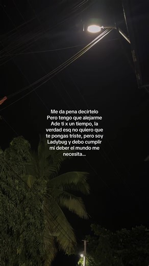 Ladybug: El deber que me aleja de ti